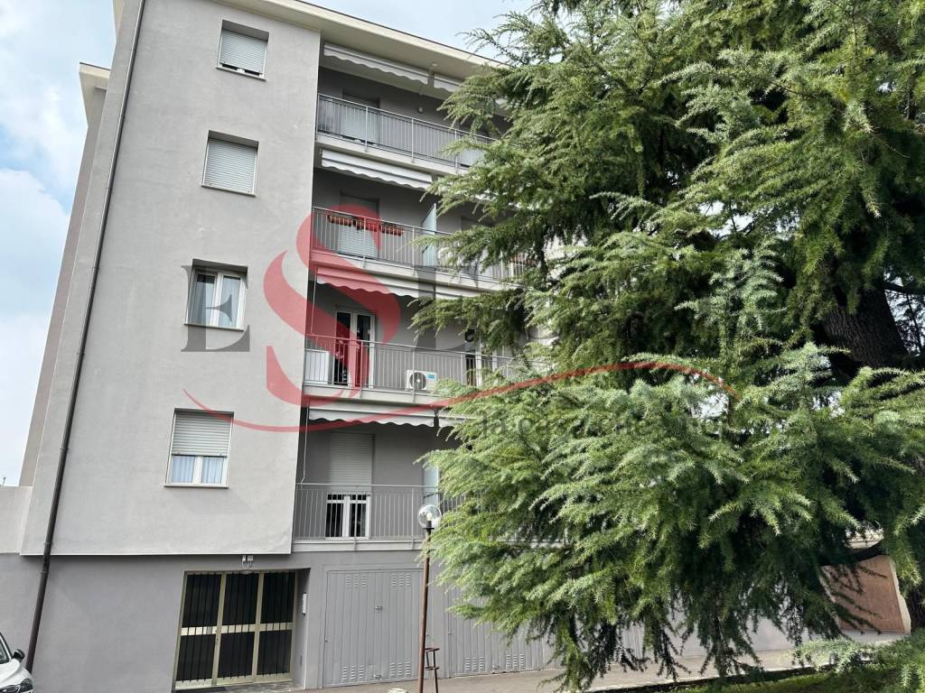 immagine annuncio 10 di 12