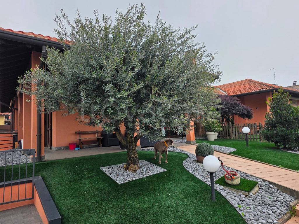 immagine annuncio 1 di 15