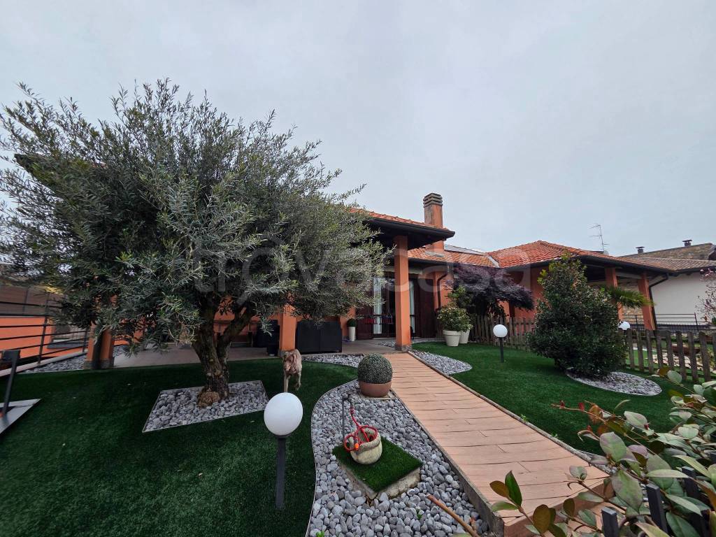 immagine annuncio 3 di 15