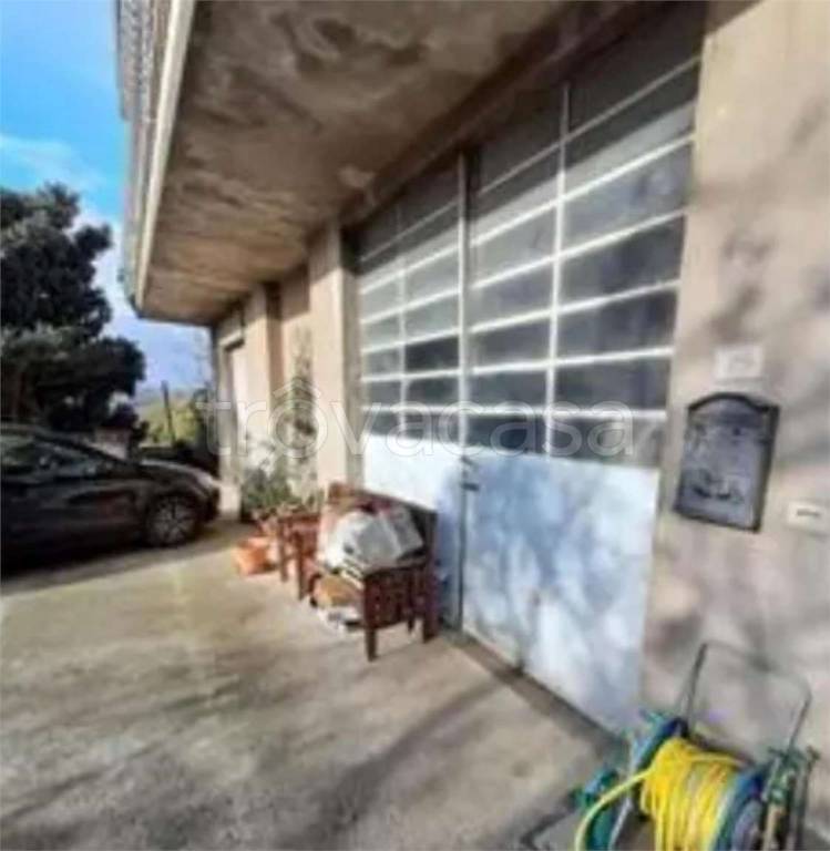 immagine annuncio 5 di 14