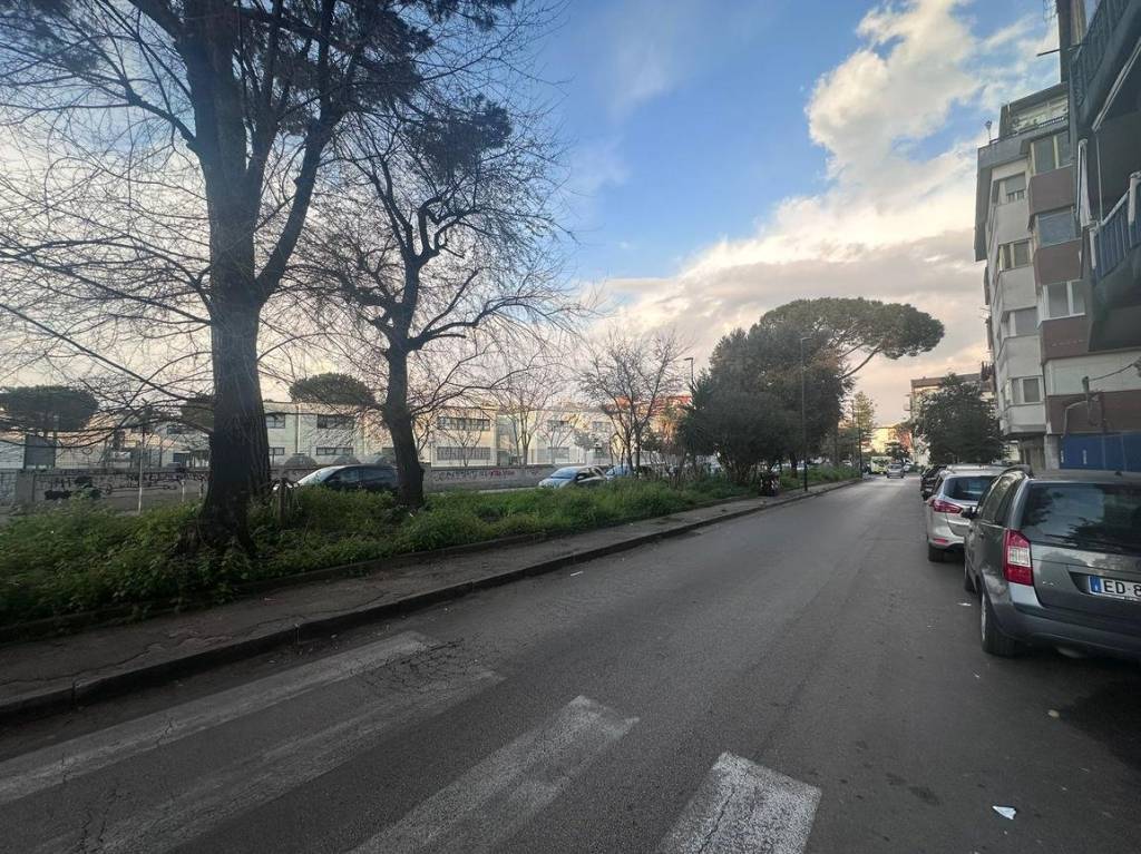 immagine annuncio 10 di 11