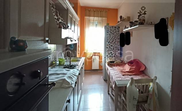 immagine annuncio 2 di 6