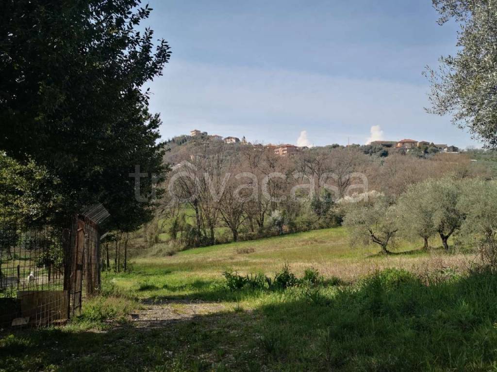 immagine annuncio 12 di 13