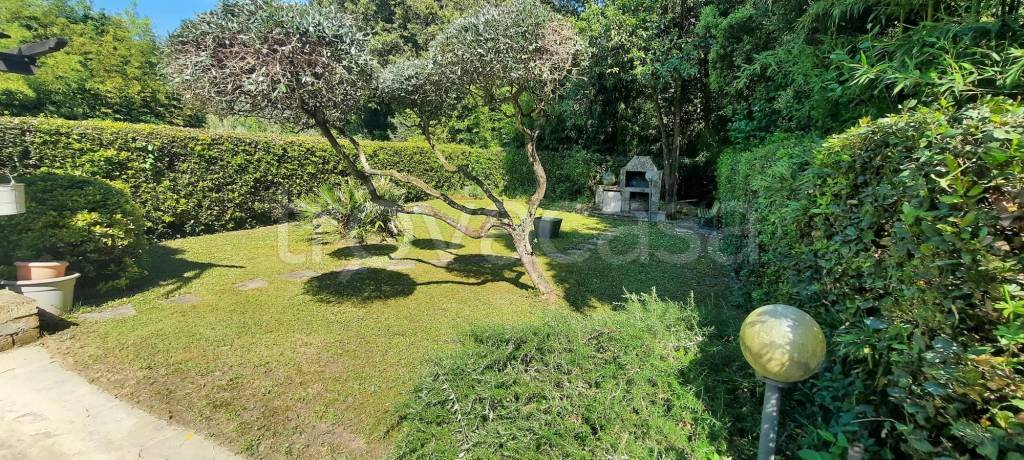 immagine annuncio 9 di 13