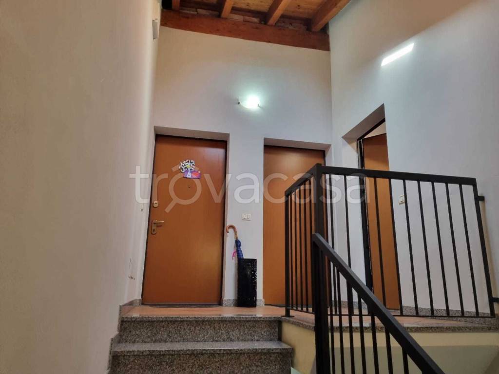 immagine annuncio 4 di 14