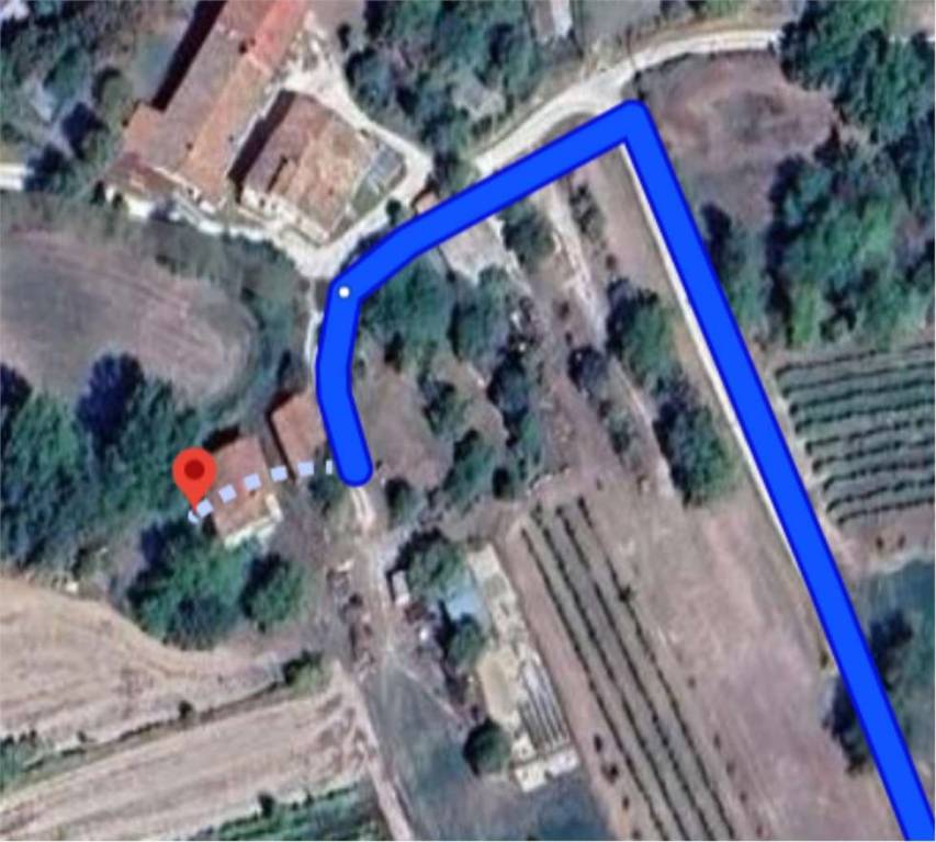 immagine annuncio 5 di 14