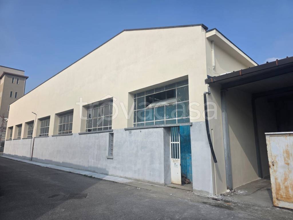 immagine annuncio 3 di 9