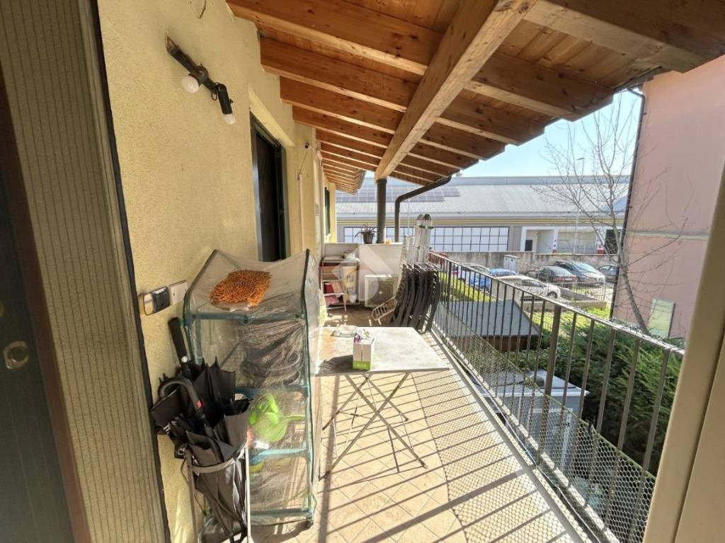 immagine annuncio 12 di 14