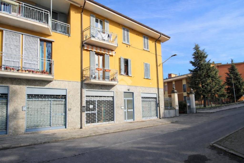 immagine annuncio 12 di 14