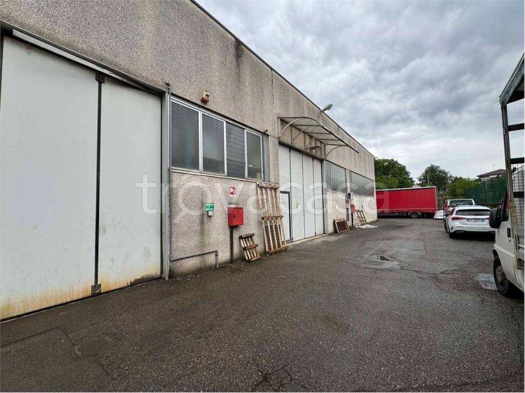 immagine annuncio 1 di 15