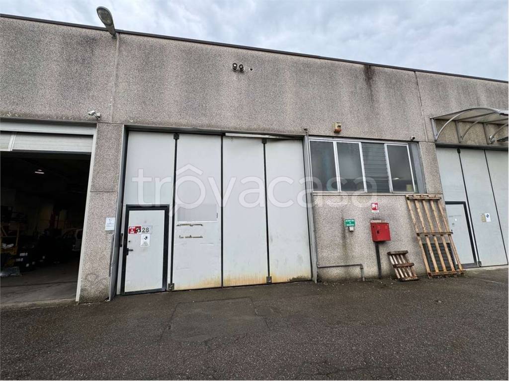 immagine annuncio 8 di 15