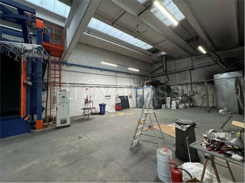 immagine annuncio 9 di 15