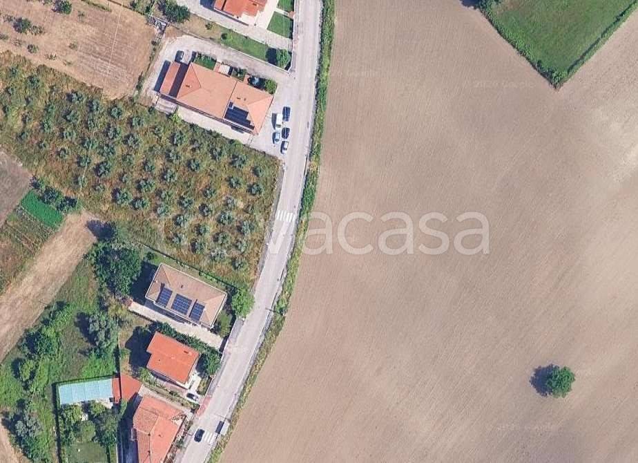 immagine annuncio 5 di 11