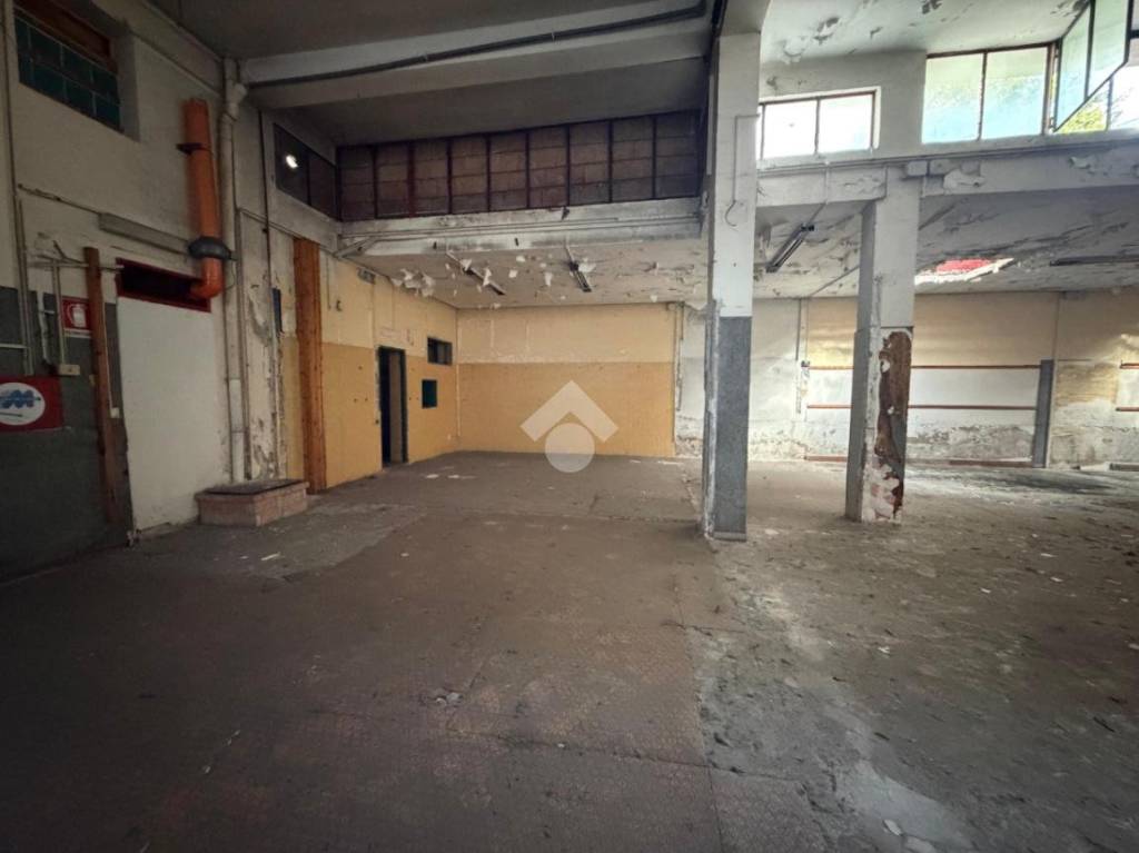 immagine annuncio 2 di 13