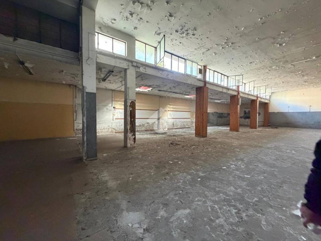 immagine annuncio 4 di 13