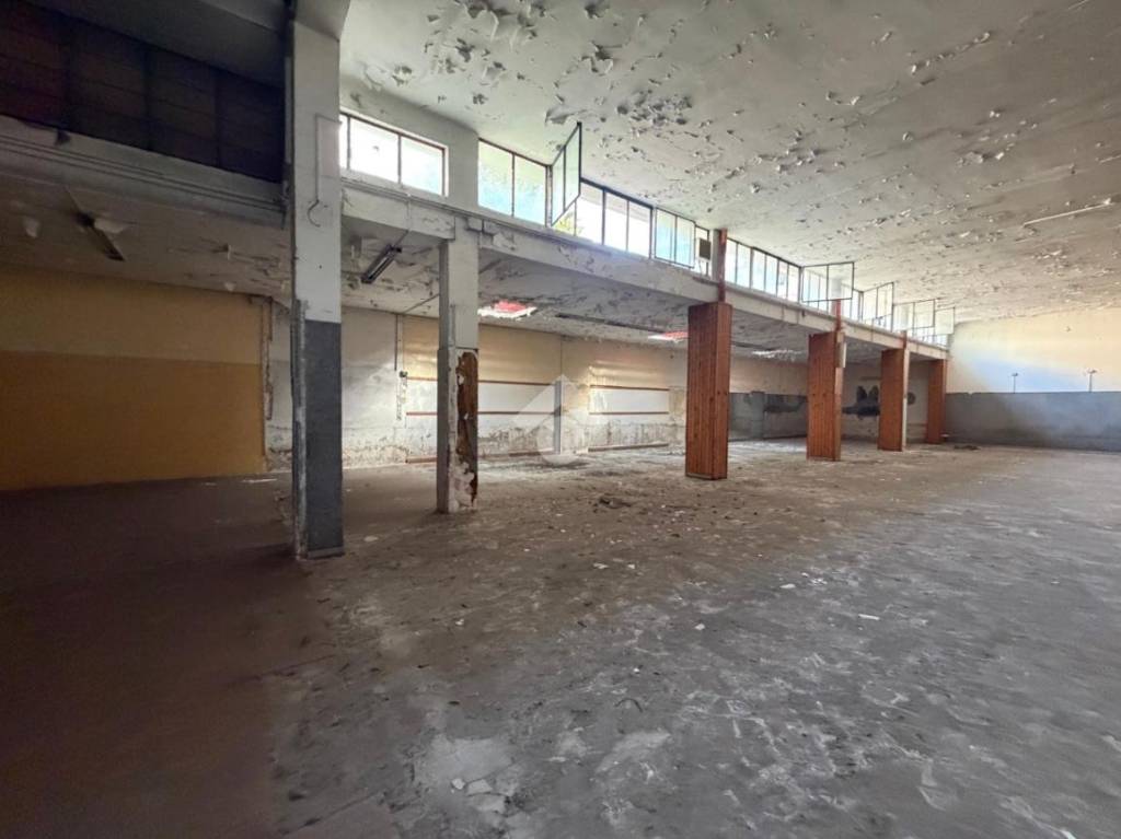 immagine annuncio 5 di 13