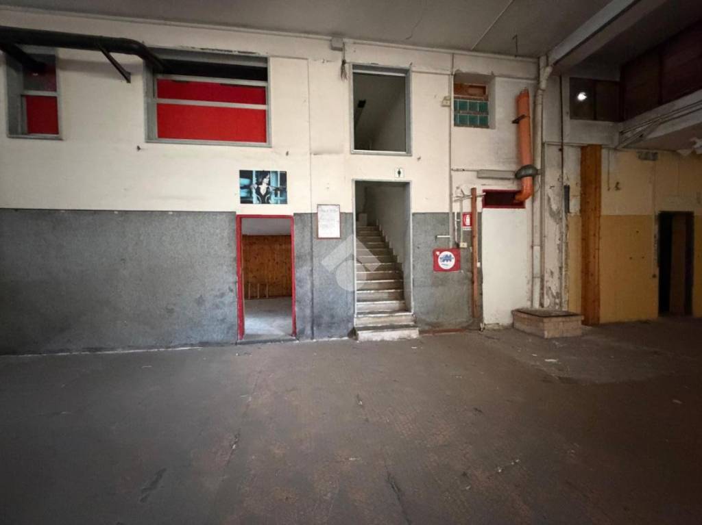 immagine annuncio 6 di 13