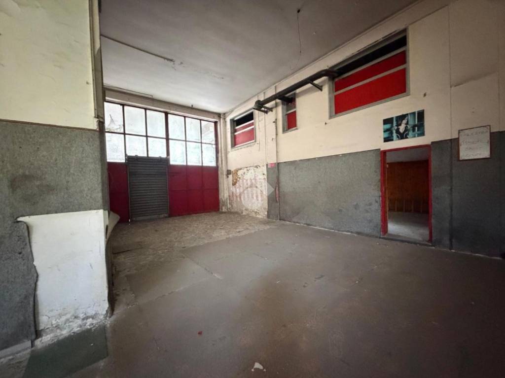 immagine annuncio 7 di 13