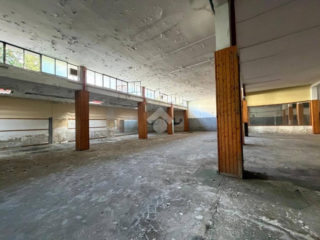 immagine annuncio 10 di 13