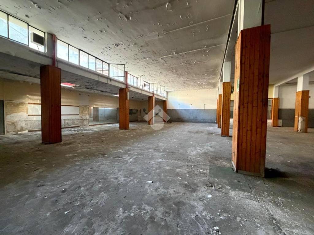 immagine annuncio 12 di 13