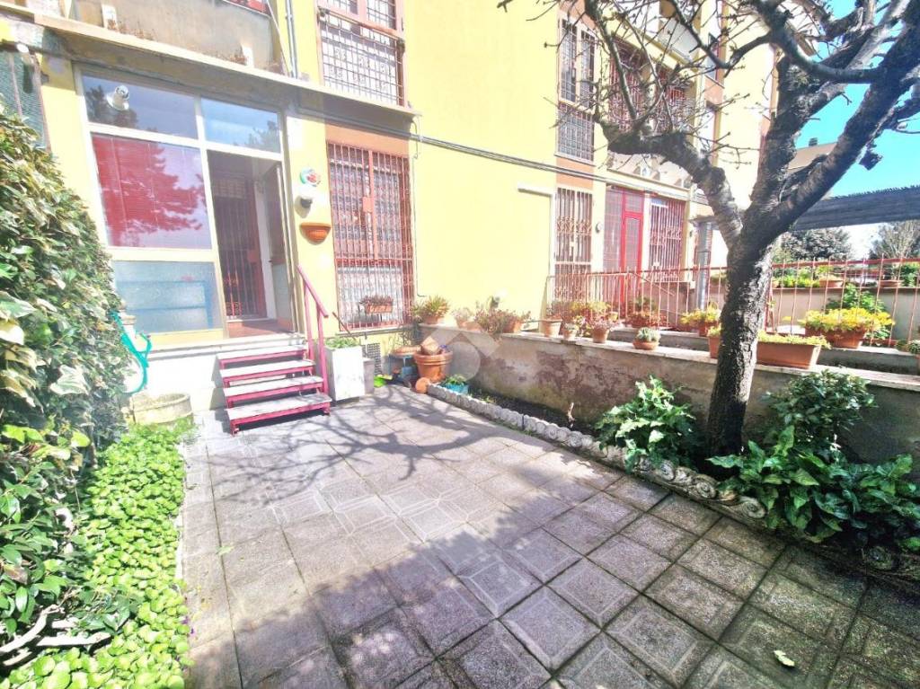 immagine annuncio 1 di 15