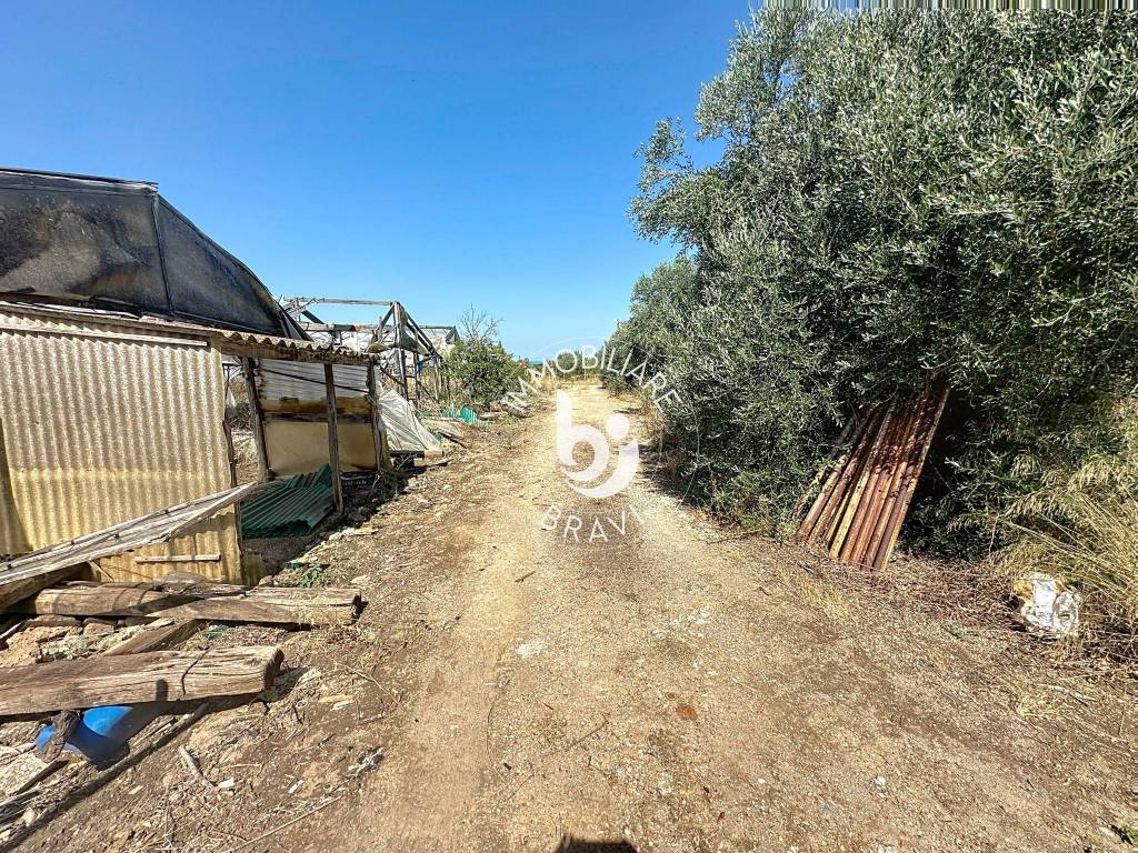 immagine annuncio 3 di 13