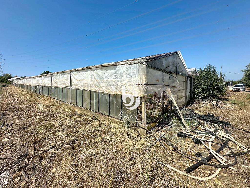 immagine annuncio 4 di 13