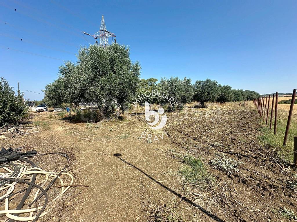 immagine annuncio 5 di 13