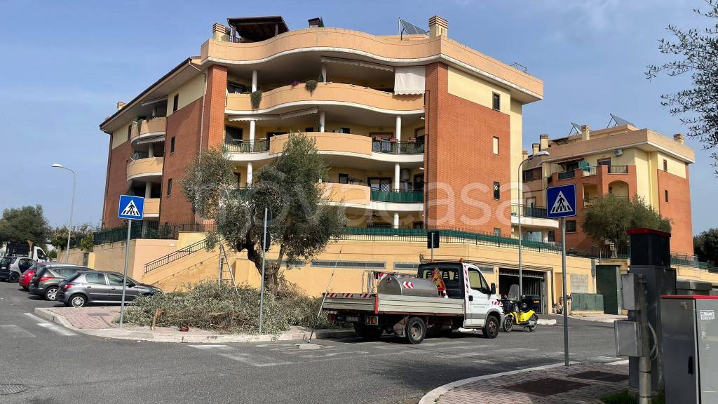 immagine annuncio 9 di 15