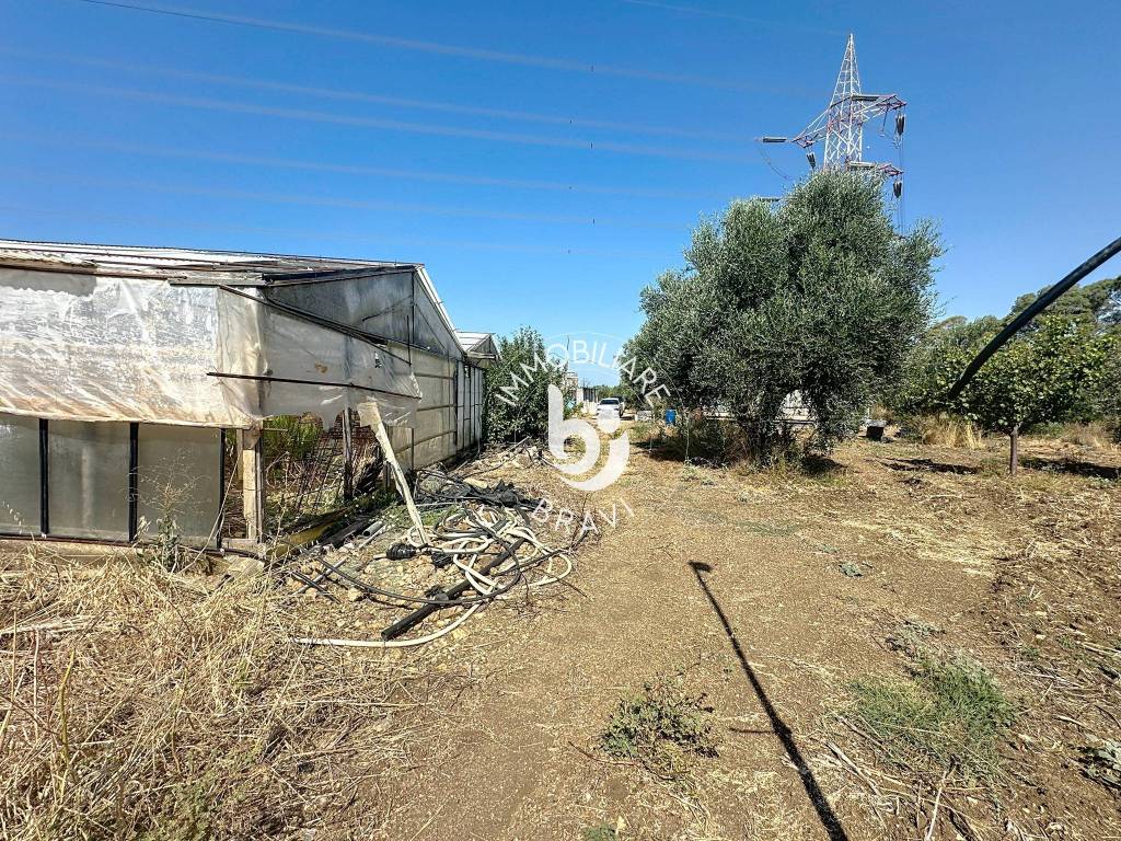 immagine annuncio 6 di 13