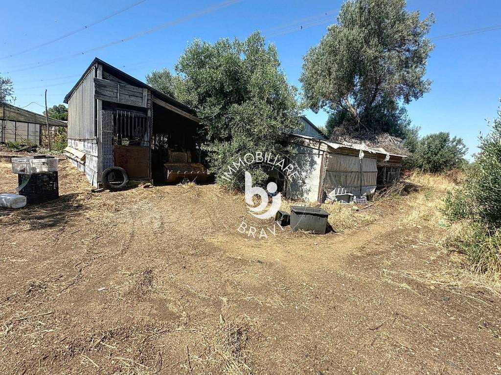 immagine annuncio 8 di 13