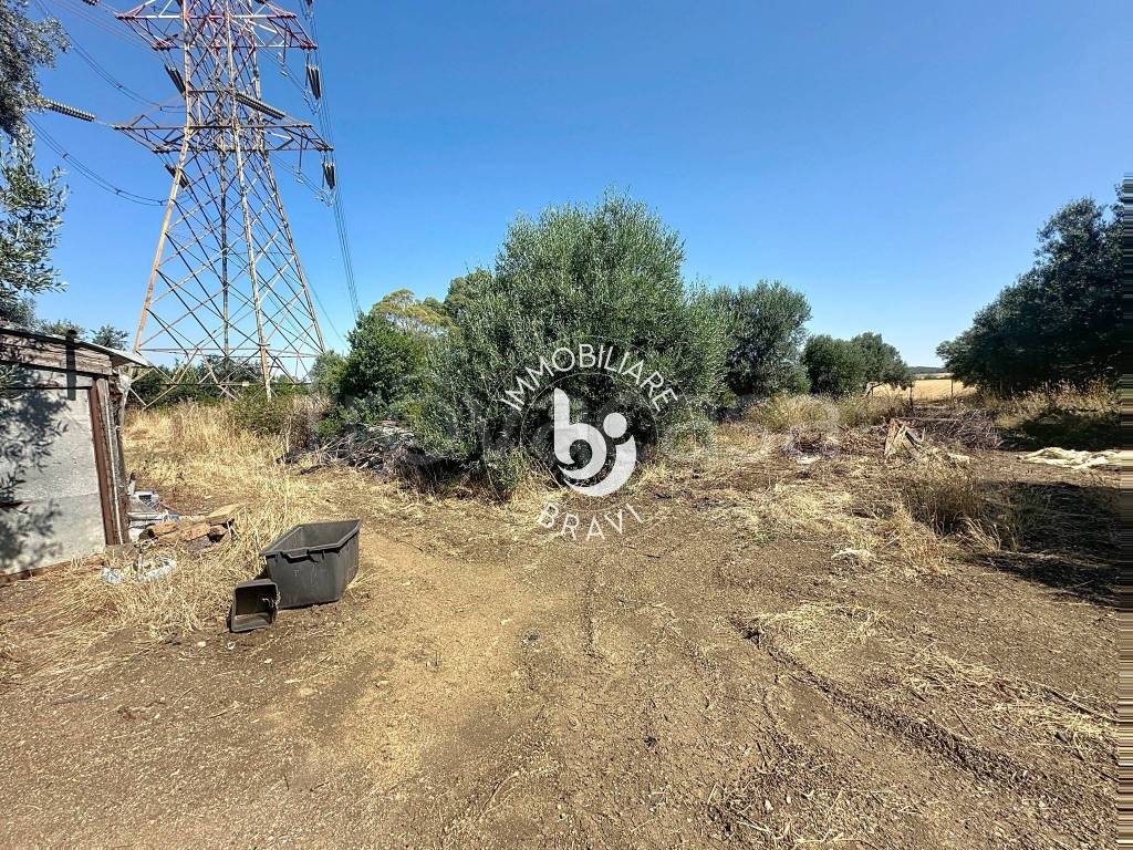 immagine annuncio 9 di 13