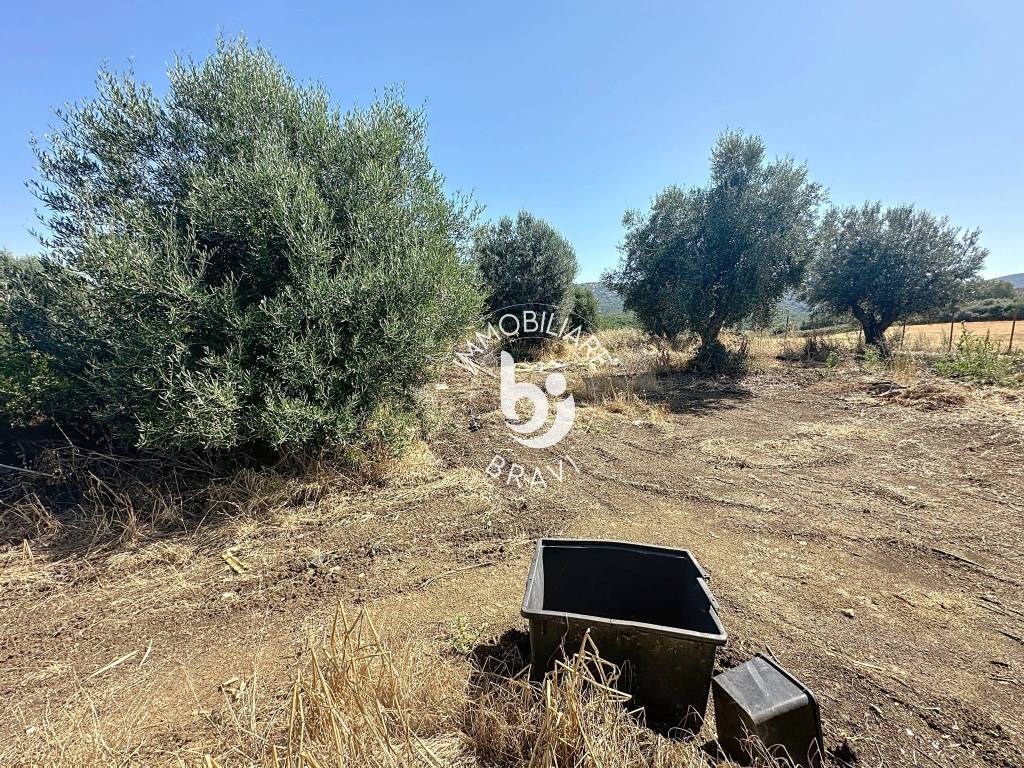 immagine annuncio 10 di 13