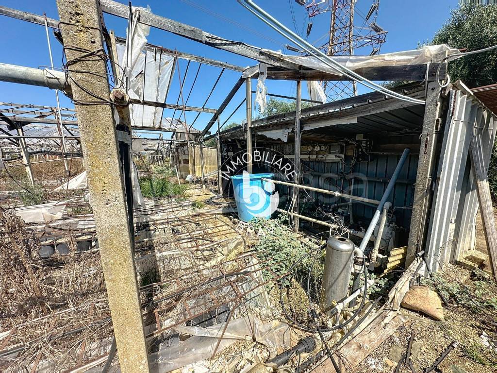 immagine annuncio 11 di 13