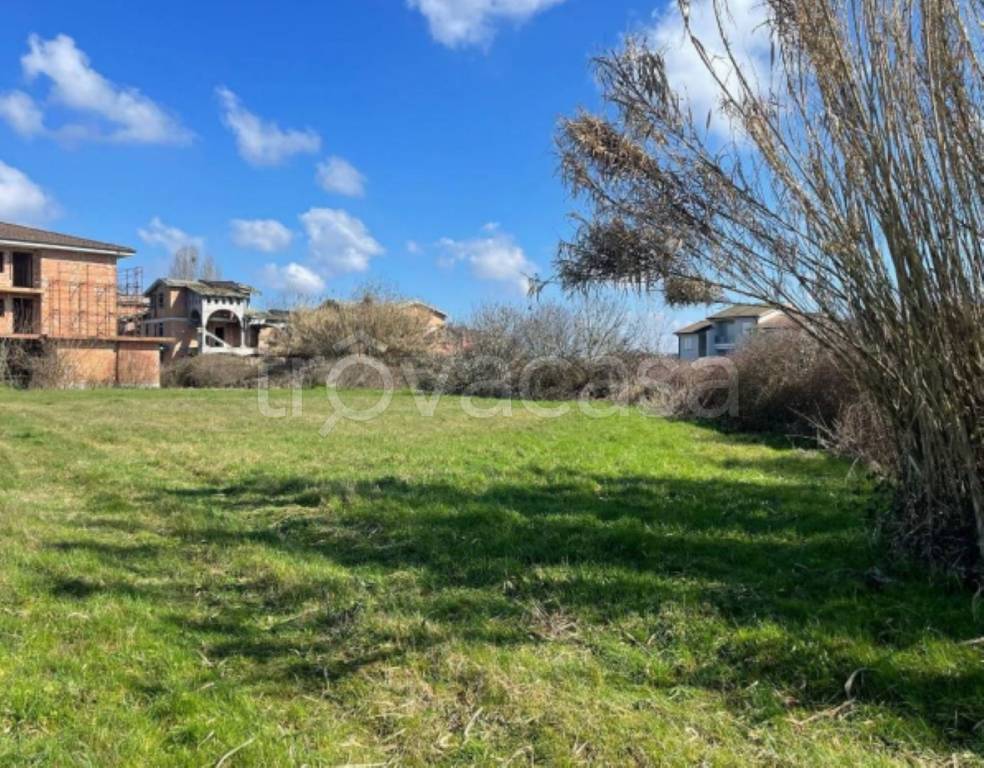 immagine annuncio 3 di 12