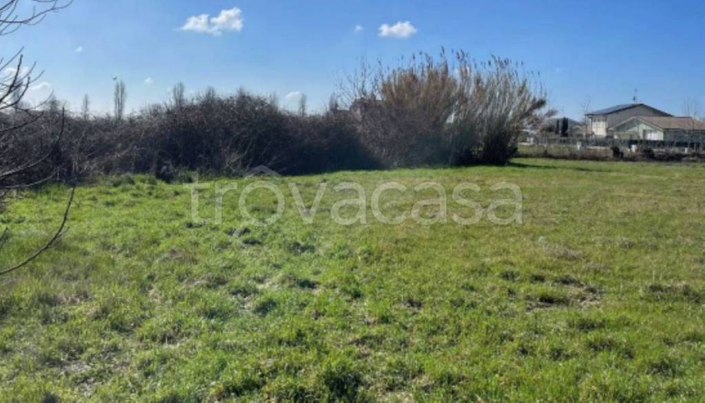 immagine annuncio 4 di 12