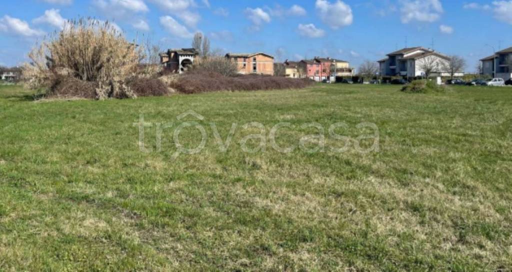 immagine annuncio 8 di 12