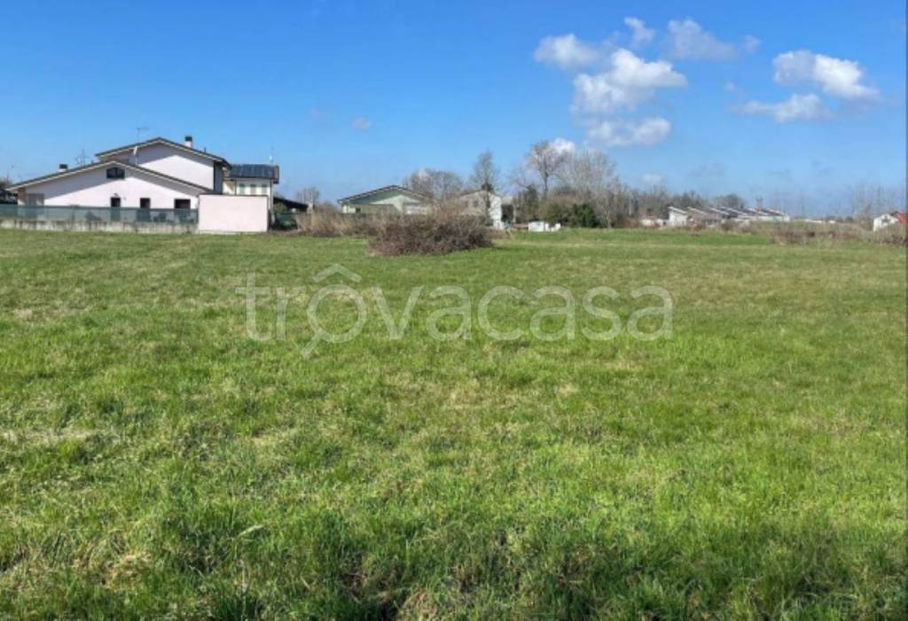 immagine annuncio 9 di 12