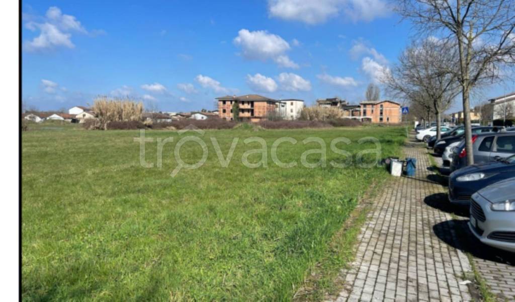 immagine annuncio 10 di 12