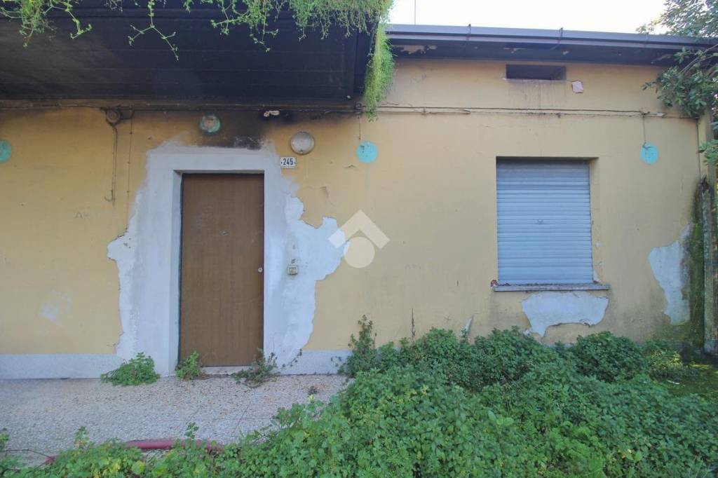 immagine annuncio 7 di 11