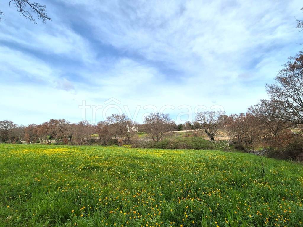 immagine annuncio 4 di 7