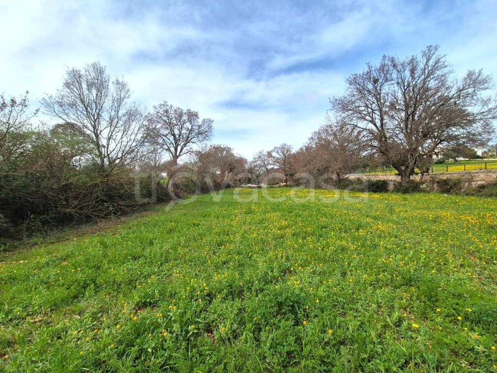 immagine annuncio 6 di 7