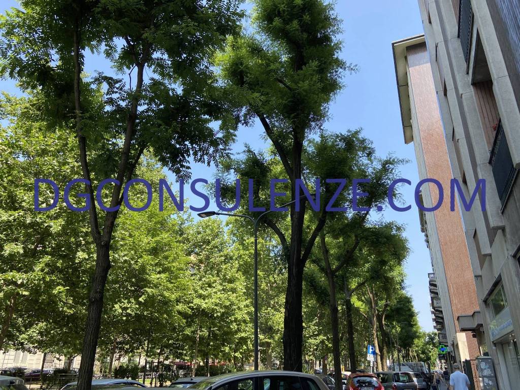 immagine annuncio 6 di 11