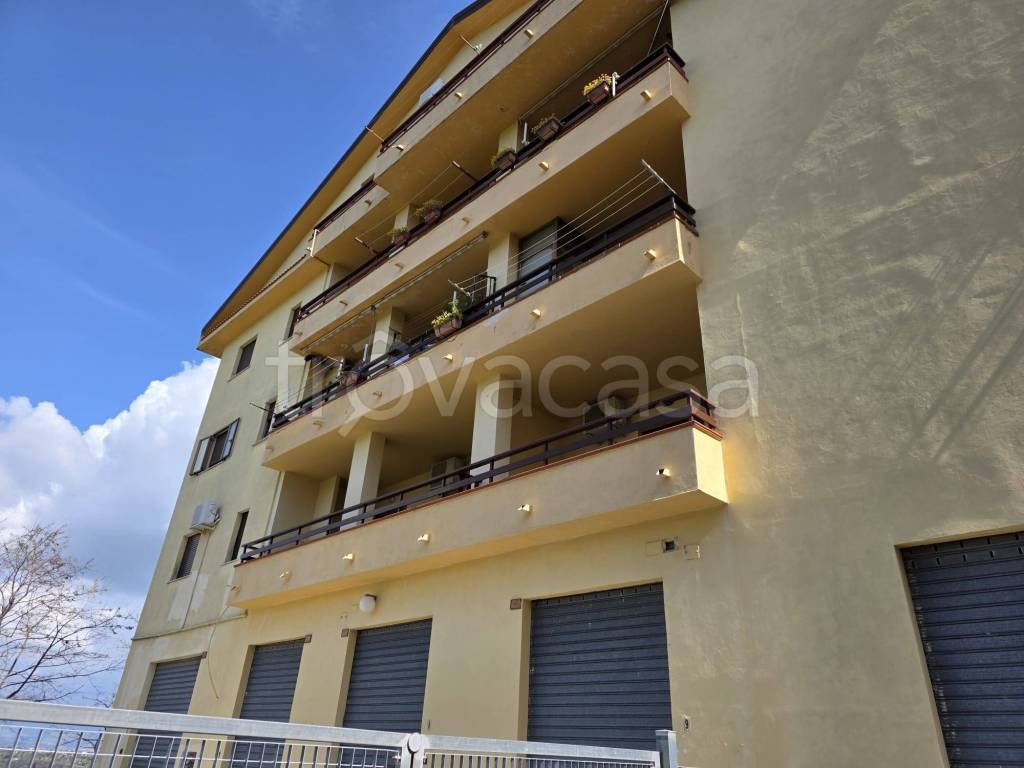 immagine annuncio 11 di 12