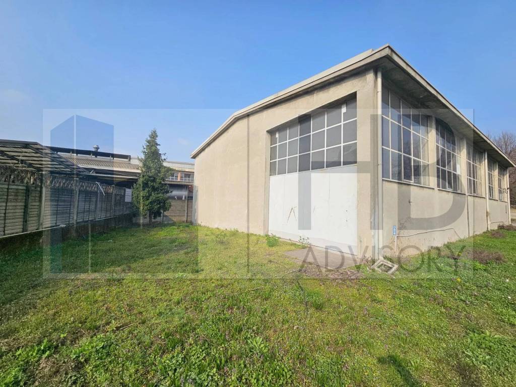 immagine annuncio 7 di 14