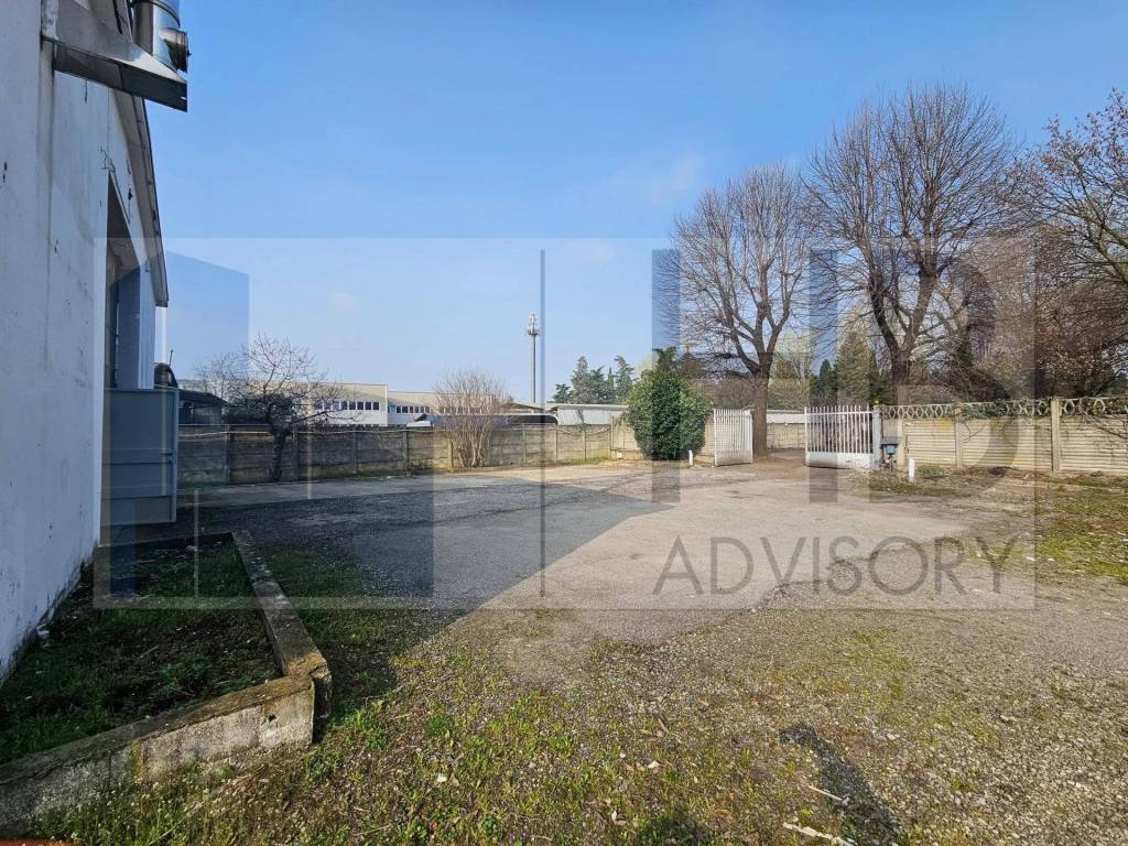 immagine annuncio 12 di 14