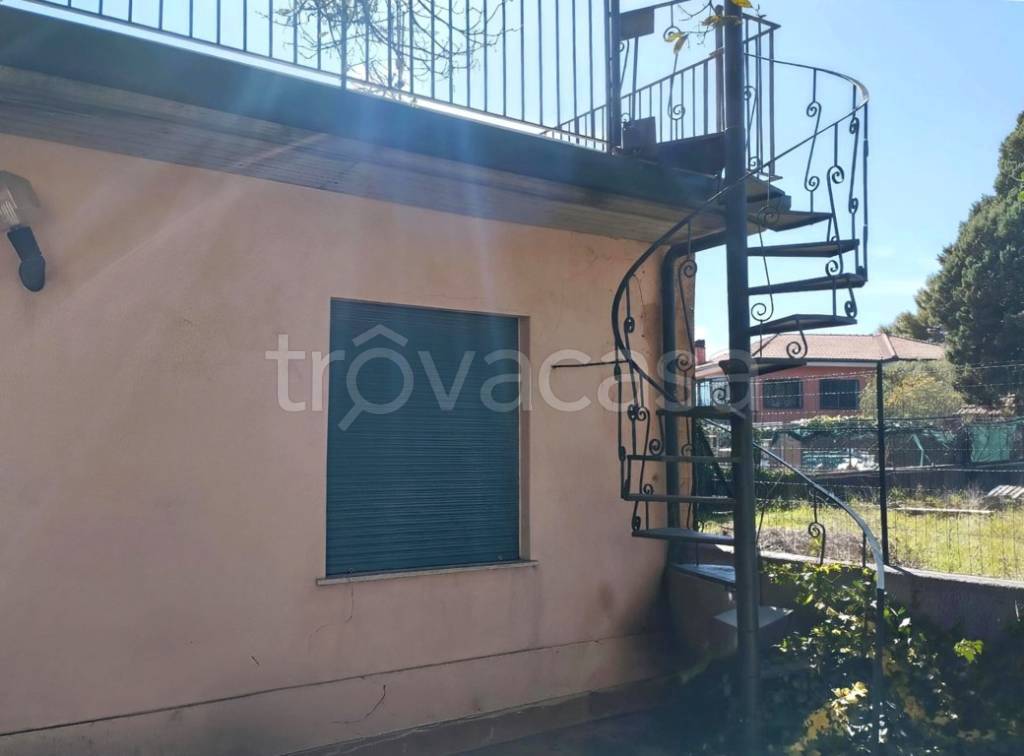 immagine annuncio 4 di 12