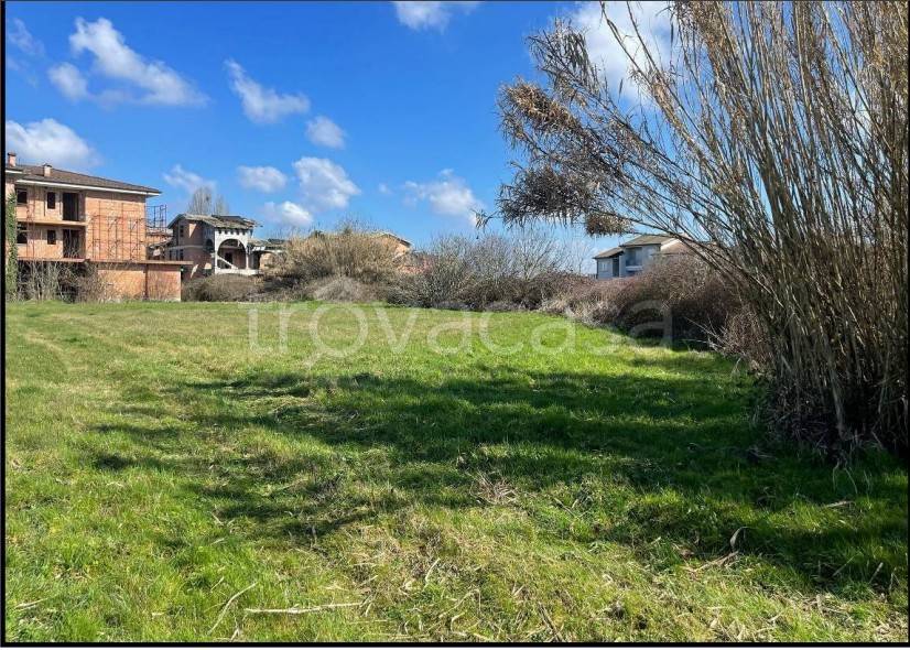 immagine annuncio 5 di 12