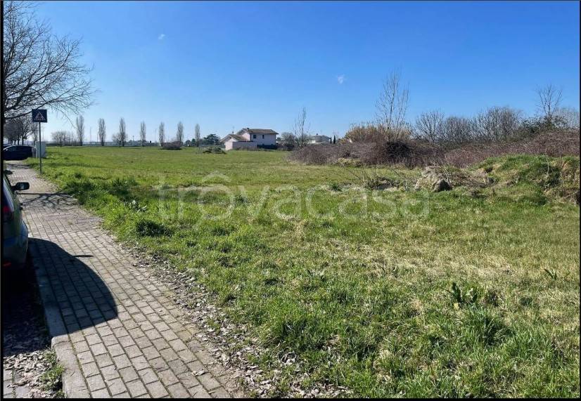 immagine annuncio 7 di 12