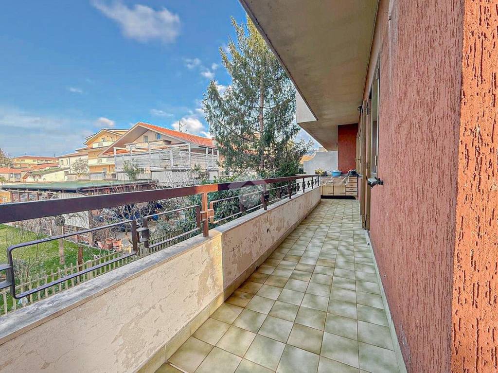 immagine annuncio 4 di 14